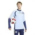 Adidas Ajax 1/4 Zip Trainingspak Heren Lichtblauw