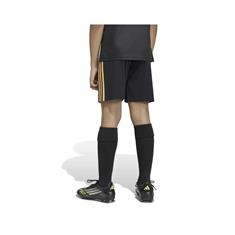 Adidas Ajax Uit Wedstrijdbroekje Kinderen 2026-2027 Zwart Goud