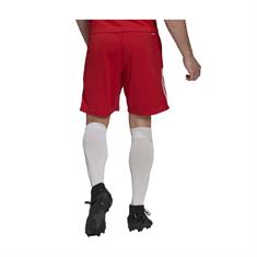 ADIDAS GT9562 AJAX SPORTSHORT