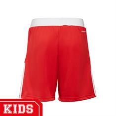 ADIDAS Gt9564 AJAX SHORT