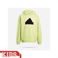 ADIDAS IM0074 FUTURE ICONS HOODIE