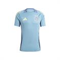 ADIDAS IT5073 AJAX TRAININGSSHIRT 2024-2025