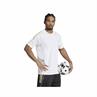 ADIDAS JN7456 JUVENTUS TRAININGSSHIRT 2025-2026