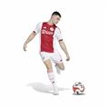 ADIDAS JP1449 AJAX THUISSHORT 2025-2026