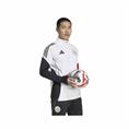 ADIDAS JP1752/JP1749 AJAX TRAININGSPAK 2025-2026