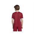 ADIDAS JV6436 LIVERPOOL FC THUISSHIRT 2025-2026 KINDEREN