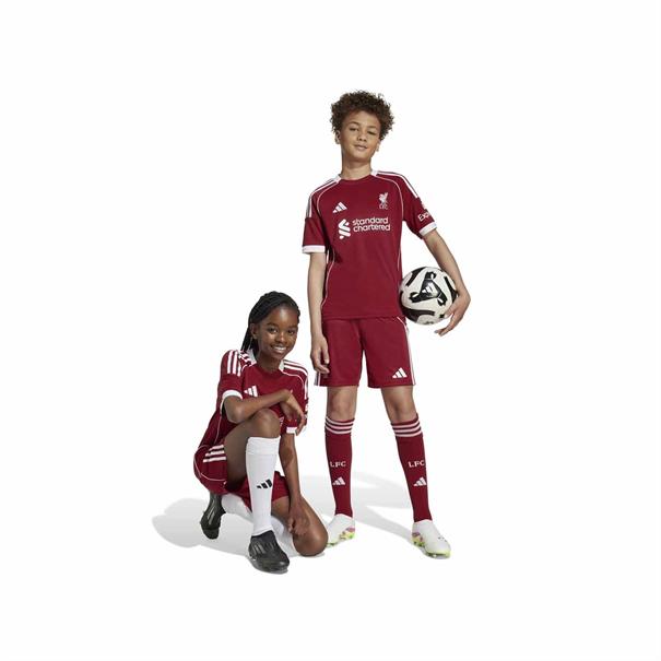 ADIDAS JV6441 LIVERPOOL FC THUISBROEKJE 2025-2026 KINDEREN