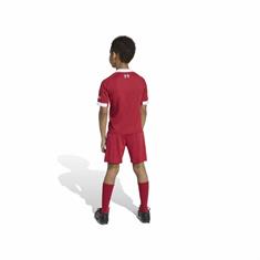 ADIDAS JV6442 LIVERPOOL FC MINIKIT THUIS 2025-2026 PEUTERS/KLEUTERS