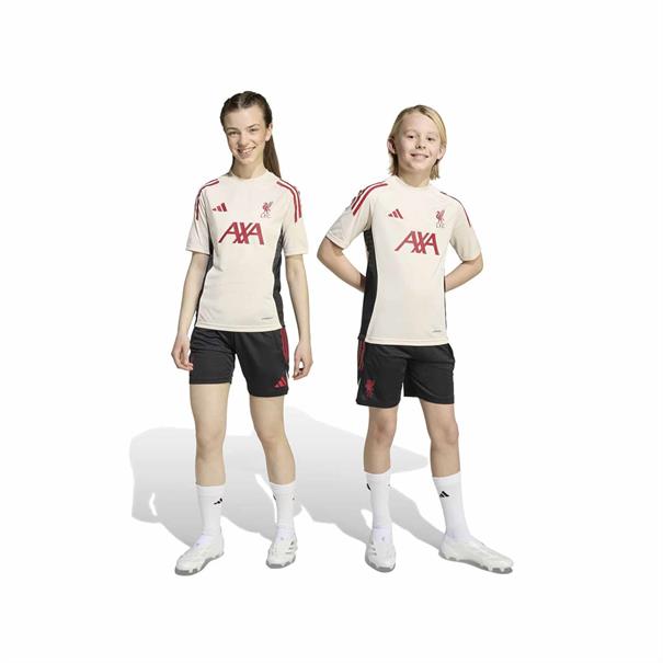 ADIDAS JV6556 LIVERPOOL FC TRAININGSBROEKJE 2025-2026 KINDEREN