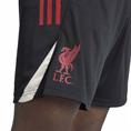 ADIDAS JV6575 LIVERPOOL FC TRAININGSBROEKJE 2025-2026