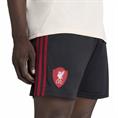 ADIDAS JY4233 LIVERPOOL FC UITBROEKJE 2025-2026