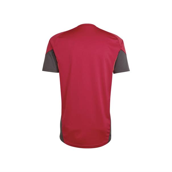 ADIDAS KB1466 LIVERPOOL TRAININGSSHIRT 2025-2026