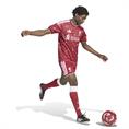 Adidas Liverpool FC Thuis Wedstrijdbroekje 2026-2027 Heren Rood