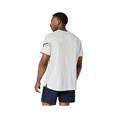 Asics Icon T-Shirt Heren Grijs