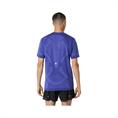 Asics Road Seamless Hardloopshirt Heren Kobaltblauw