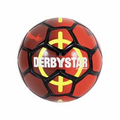 DERBY STAR 287957 STREETBALL