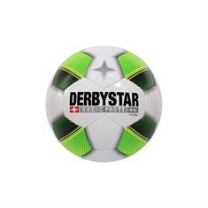 DERBY STAR 287980 FUTSAL BASIC PRO TT INDOOR VOETBAL
