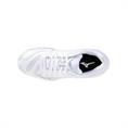 MIZUNO V1GC2460 WAVE VOLTAGE 2 INDOORSCHOENEN