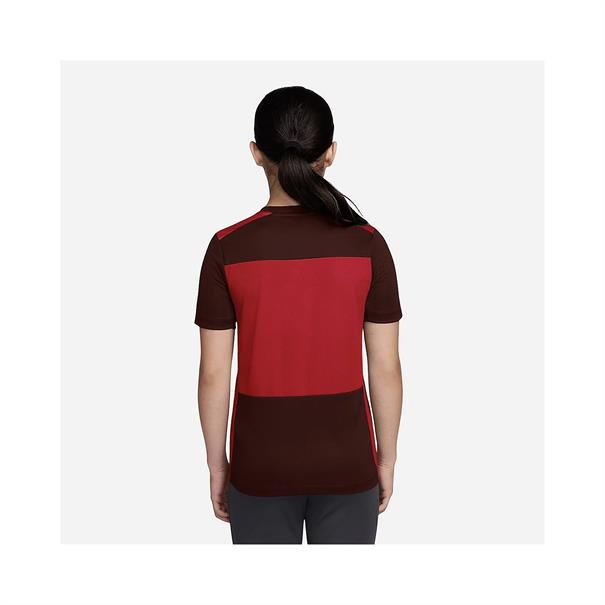 Nike Academy Dri-FIT Sportshirt Kinderen Bordeaux