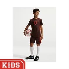 Nike Academy Dri-FIT Sportshort Kinderen Bordeaux
