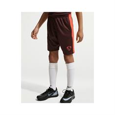 Nike Academy Dri-FIT Sportshort Kinderen Bordeaux