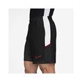 Nike Academy Sportshort Heren Zwart