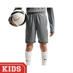 Nike Academy Sportshort Kinderen Grijs