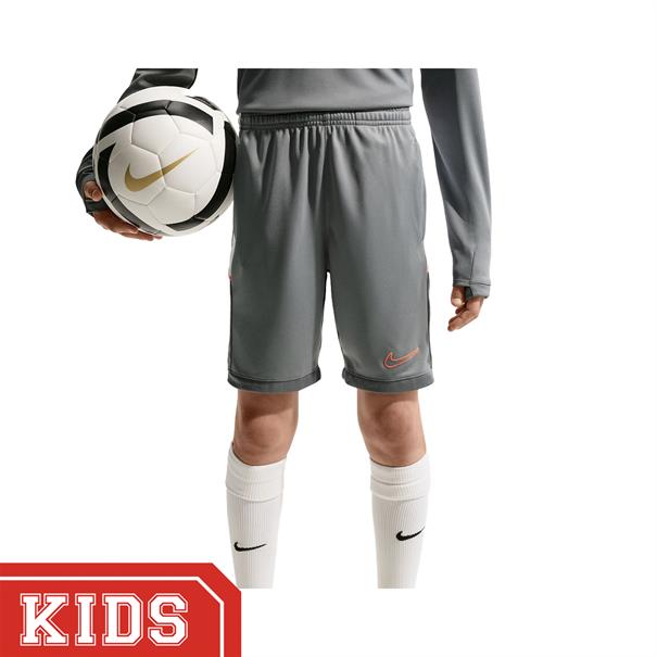 Nike Academy Sportshort Kinderen Grijs