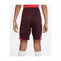 Nike Ao6350 BARCELONA SHORT