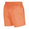 NIKE AR2382 SPORTSHORT