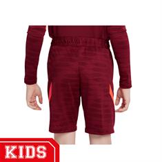 NIKE Db2927 LIVERPOOL FC SHORT