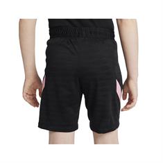 NIKE DH0880 PARIS SAINT GERMAIN (PSG) SPORTSHORT