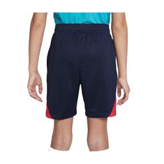 NIKE DJ8724 FC BARCELONA SPORTSHORT KINDEREN