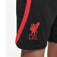 NIKE DJ8725 LIVERPOOL F.C. SPORTSHORT