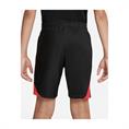 NIKE DJ8725 LIVERPOOL F.C. SPORTSHORT