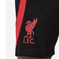 NIKE DN2959 LIVERPOOL FC SPORTSHORT