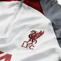 NIKE DR4646/DR4793 LIVERPOOL FC VOETBALPAKKEN