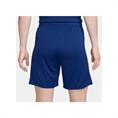 NIKE FJ2206 NEDERLAND SPORTSHORT 2024-2026