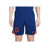 NIKE FJ2206 NEDERLAND SPORTSHORT 2024-2026