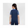 NIKE HJ7836 PARIS SAINT-GERMAIN STRIKE TRAININGSSHIRT KINDEREN 2025-2026