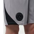 Nike Paris Saint Germain Strike Sportshort Nachteditie Jordan Heren Grijs