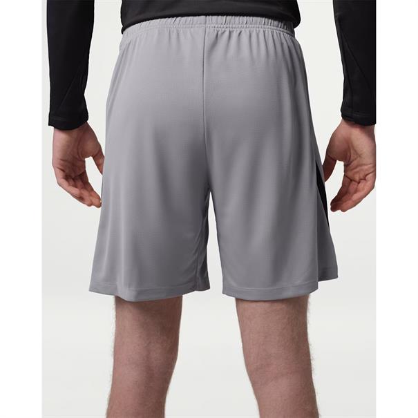 Nike Paris Saint Germain Strike Sportshort Nachteditie Jordan Heren Grijs
