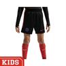 Nike Paris Saint-Germain Strike Trainingsbroekje Kinderen Zwart