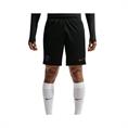 Nike Paris Saint-Germain Trainingsbroekje Heren Zwart