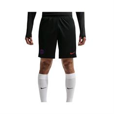 Nike Paris Saint-Germain Trainingsbroekje Heren Zwart