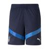 PUMA 767097 ITALIE SPORTSHORT