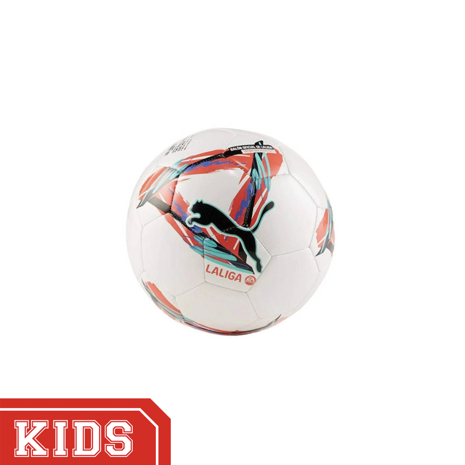 Voetbal puma hotsell