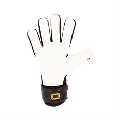 Stanno Thunder VII Keepershandschoenen Zwart/Goud