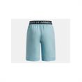 Under Armour Vanish Sportshort Kinderen Lichtblauw