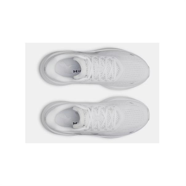 Under Armour Velociti Pace Hardloopschoenen Heren Wit